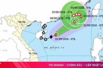 Áp thấp nhiệt đới mạnh lên thành bão số 5