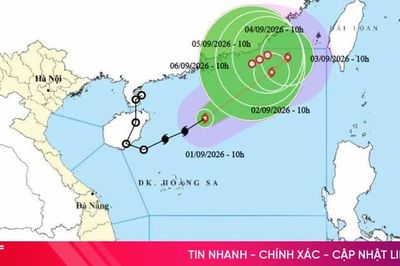 Theo dõi chặt chẽ diễn biến, chủ động ứng phó với bão số 5