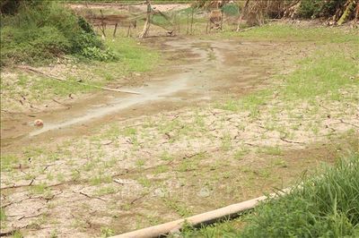 El Nino đạt cường độ mạnh đến rất mạnh - cần kịp thời ứng phó