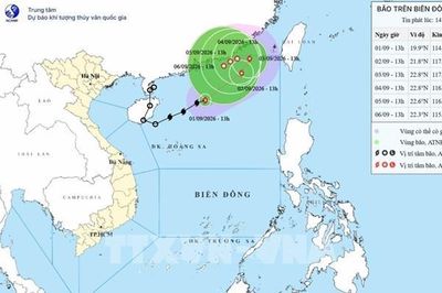 Ảnh hưởng bão số 5, vùng biển phía Bắc khu vực Bắc Biển Đông có sóng cao, biển động mạnh
