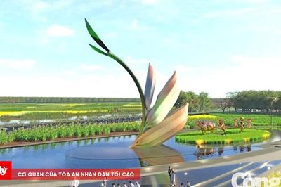 Từ hạt lúa đến khát vọng Cà Mau