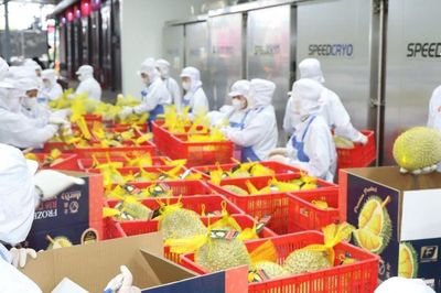 Xuất khẩu rau quả bứt tốc nhờ sầu riêng và các mặt hàng chủ lực