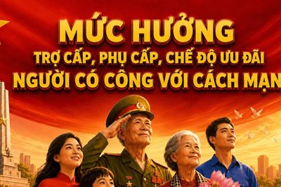 Mức hưởng trợ cấp, phụ cấp, chế độ ưu đãi người có công với cách mạng