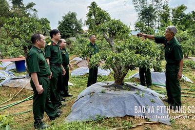 Cựu chiến binh trên "mặt trận" không tiếng súng