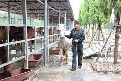 Sẵn sàng cho chương trình biểu diễn đặc biệt tại Không gian văn hoá đường Hùng Vương