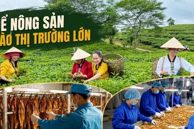 Để nông sản vào thị trường lớn