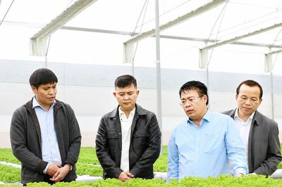 Bứt phá từ số hóa nền nông nghiệp