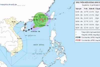 Dự báo bão số 5 trên Biển Đông ngày 01/09/2026: Gió mạnh cấp 8, giật cấp 10, sóng biển dâng cao