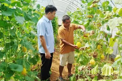 Động lực phát triển nông nghiệp bền vững