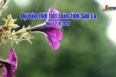 Dự báo thời tiết toàn tỉnh Sơn La ngày 2/9/2026