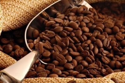 Ngày 1/9: Giá cà phê đảo chiều tăng, hồ tiêu neo ở mức cao