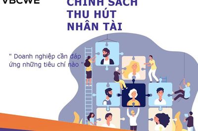Góc nhìn văn hoá: Thu hút nhân tài - Đãi ngộ chỉ là điểm bắt đầu