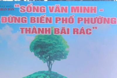 TP. Hồ Chí Minh: Triển khai nhiều nhiệm vụ thuộc lĩnh vực bảo vệ môi trường
