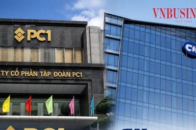 Nợ phải trả vượt 30.000 tỷ đồng, CII vẫn miệt mài gom PC1: Đang đánh cược vào năng lượng?