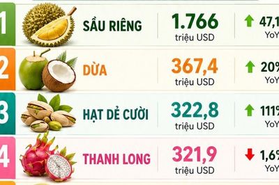 Xuất khẩu rau quả 8 tháng đầu năm 2026 đạt gần 6 tỷ USD