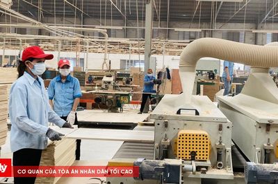 Tuyên Quang: Tự động hóa từ 'bài toán máy móc' đến nâng sức cạnh tranh doanh nghiệp