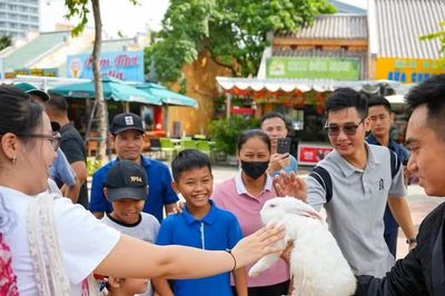 Du lịch Quảng Ninh, Hải Phòng khởi sắc nhờ môi trường an toàn, thân thiện