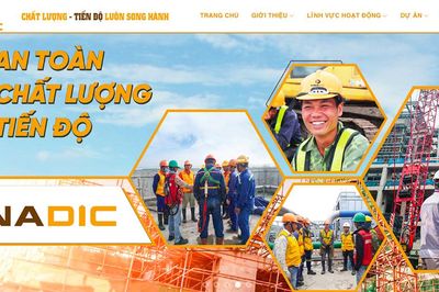 Phát triển Đầu tư Xây dựng Việt Nam (Vinadic) được giao, thuê hơn 4,8ha đất làm chợ nguyên liệu gỗ Vân Hà