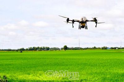 Ứng dụng công nghệ vào sản xuất lúa gạo