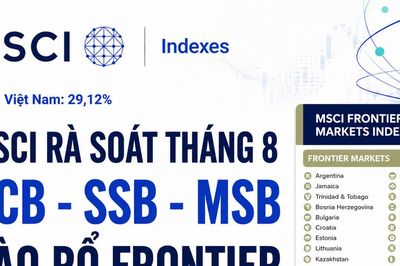 Kỳ rà soát MSCI tháng 8 có hiệu lực: ACB, SSB, MSB vào rổ Frontier Markets