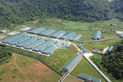 Nới điều kiện thành lập cụm công nghiệp, mở thêm dư địa cho doanh nghiệp