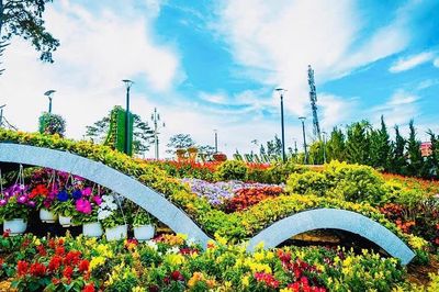 Đẩy mạnh quảng bá Festival Hoa Đà Lạt lần thứ XI trên đa nền tảng