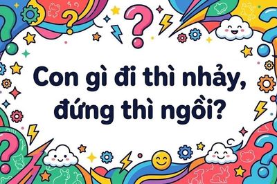 99% người không giải được câu đố này: Con gì đi thì nhảy đứng thì ngồi?