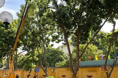 Giữ những mảng xanh trên phố