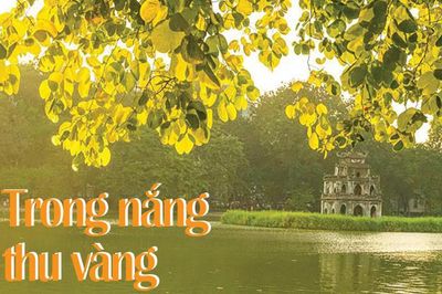 Trong nắng thu vàng