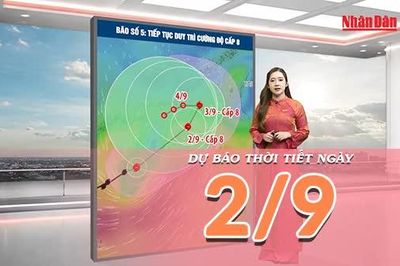 [Video] Dự báo thời tiết ngày 2/9/2026: Nắng nóng diện rộng tại Bắc Bộ và Trung Bộ, Nam Bộ có mưa dông về chiều tối