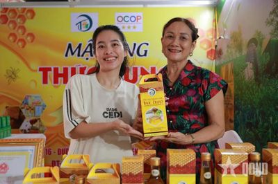 Sức bật mới cho công nghiệp nông thôn miền Trung - Tây Nguyên