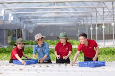 Hướng dòng vốn vào các động lực tăng trưởng kinh tế