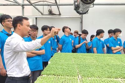 Bài 2: Khi giảng đường bước ra ngoài bốn bức tường