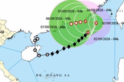 Bão số 5 Saudel di chuyển 'kỳ dị', đi lòng vòng trên biển nhiều ngày