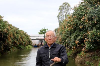 Nguyên phó giám đốc sở trồng 20ha thanh nhãn, một vụ thu khoảng 1,5 tỷ đồng