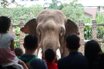 Dòng người 'tranh nhau' cho thú ăn ở Thảo Cầm Viên trong ngày Quốc khánh 2/9