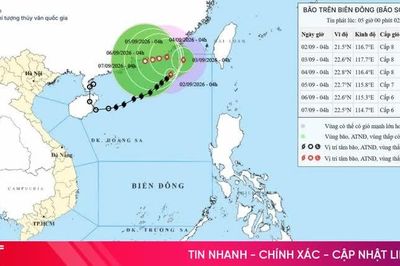 Diễn biến mới nhất của bão số 5