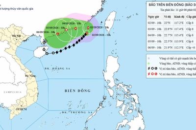 Bão số 5 có xu hướng di chuyển về đất liền ven biển Quảng Đông, Trung Quốc