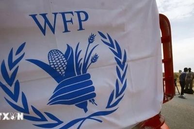 WFP cắt giảm một nửa viện trợ lương thực tại Bờ Tây do thiếu kinh phí
