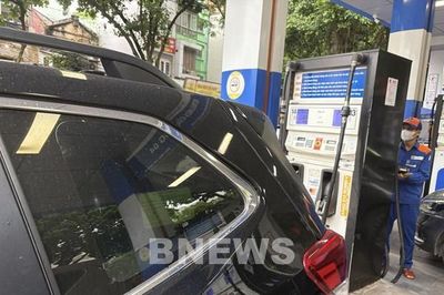 Đề xuất phát triển vùng trồng sắn tập trung gần nhà máy Ethanol Dung Quất