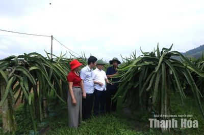 Nỗ lực hoàn thành mục tiêu phát triển sản phẩm OCOP