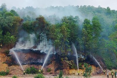 Bắc Ninh: 4 xã, phường có cấp dự báo cháy rừng ở mức nguy hiểm