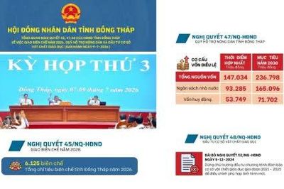 Nghị quyết 45, 47, 48 ngày 9-7-2026 của HĐND tỉnh Đồng Tháp
