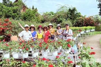 Du lịch Đồng Tháp nhộn nhịp dịp Lễ 2-9