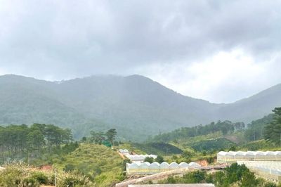 Những người giữ lửa Đông Mang