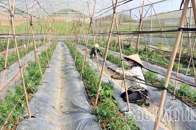 Công nghệ tiếp sức tăng trưởng