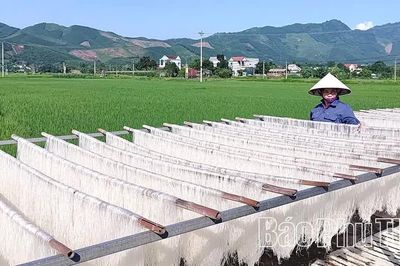 Từ hạt gạo quê đến sản phẩm OCOP