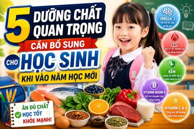 5 dưỡng chất học sinh cần chú ý khi bước vào năm học mới