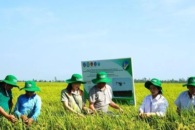 Bài 2: Cam kết về một nền nông nghiệp minh bạch