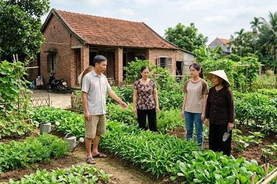 Cách chia đất đai thừa kế khi ông bà qua đời không để lại di chúc